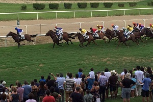 Primer paso por meta de la Copa de Oro con NEMQUETEBA enseñando el camino al lote. (Foto cedida por Ferdemente)